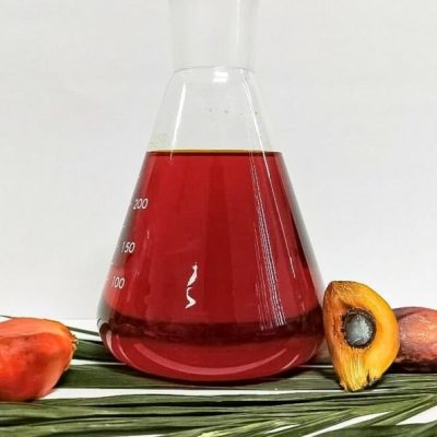 How to Make and Produce Crude Palm Oil in Indonesia
